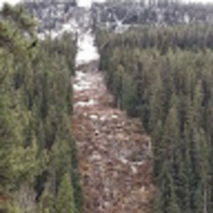 Meet your Posher, Mark anthony